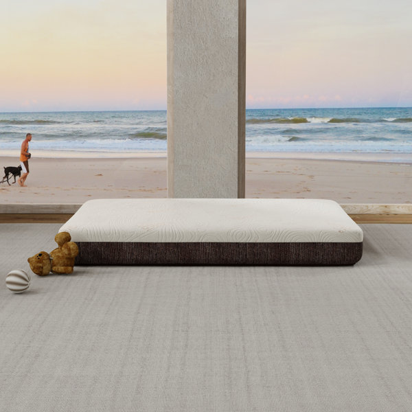 ErgoPedic Pet Stress Bed Plus Dog Bed, infused Memory Foam Wayfair